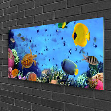 Glass print Wall art 100x50 Image Picture Coral Reef Underwater Fish Nature