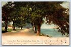 Postcard AL Mobile View Shell Road Mobile Bay Wrecked September Storm c1907 L1