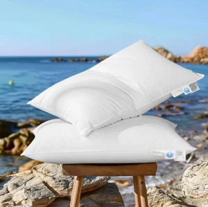 2 Pack White Goose Down Feather Bed Pillows Standard Size Pillow 750 Fill Power - Picture 1 of 11