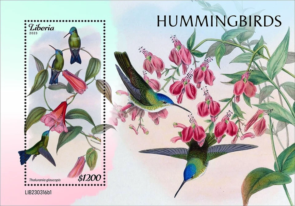 Estampillas Colibríes Colibrí MNH 2023 Liberia S/S Foto 1 de 1