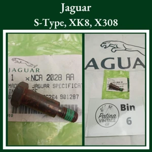 Jaguar S-Type, XK8, X308 Perno de pivote del tensor de la cadena de distribución primaria NCA 2028 AA - Imagen 1 de 1