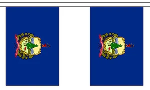 VERMONT U.S. STATE BUNTING 9 metres 30 flags Polyester flag - Picture 1 of 1