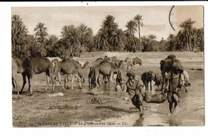 CPA - Carte Postale Tunisie- La Traversée d'un Oued en 1907 VM16515 - Picture 1 of 2