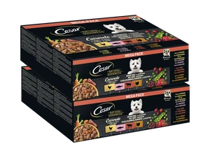 48x100g Cesar Hundefutter Nassfutter NATURAL GOODNESS Schale Casserole in Sauce  - Bild 1 von 7