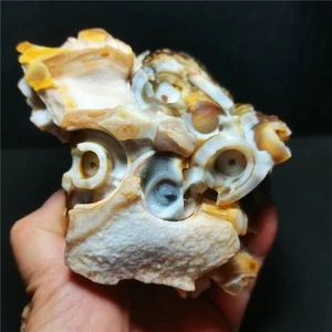 TOP 927G Natural Ojo Gobi Ágata Ágata Áspera Piedra Espécimen Cristal WD1796 - Imagen 1 de 9