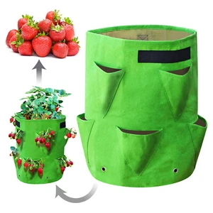 Garden strawberry Fabric BagPlanting Grow Pot Planter Vegetable Container 1-5pcs - Picture 1 of 11