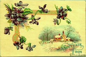 Violets Winter House Souvenir From Grandma Embossed Postcard Ivanhoe Minnesota - Picture 1 of 2