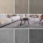 Carpet Grey Carpets Luxury Saxony 17mm Soft 10.99 Flecked Carpet Bedroom 4m 5m