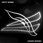 PETIT SINGE - AKASH GANGA   VINYL LP SINGLE NEW