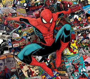 Spiderman, 20 oz tumbler, Optional Bluetooth speaker P5196 - Picture 1 of 1