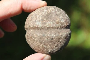 Schlägerkopfkeule, mittelneolithischer Trichter Becherkultur, Passage Grabzeit 340 - Bild 1 von 9