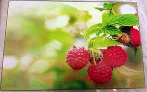 Glass Kitchen Cutting Board, rectangle,8"x12", RASPBERRIES ON THE RIGHT SIDE, QH - Picture 1 of 12