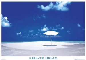 Poster PLANET EARTH - Forever Dream  NEU  55689 - Bild 1 von 1