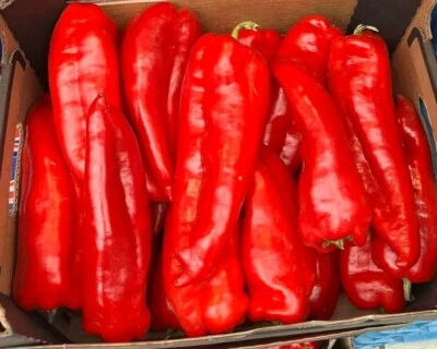 Fresh Tatashe pepper 2kg - Image 1 of 2