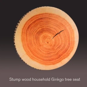 JY Weiche Büro Runde Holz Kissen Plüsch Kissen Stuhl Sitz Gesäß Baumstumpf - Bild 1 von 17