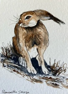 Original Watercolour Line And Wash Hare Painting ACEO - Picture 1 of 4