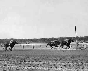 1971 Belmont Stakes PASS CATCHER vs Bold Reason 8x10 Photo Racehorse Poster - Picture 1 of 1