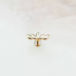 Gold gefächertes Labret für Muschel, Helix, Tragus, flach und Knorpel. - Bild 1 von 3