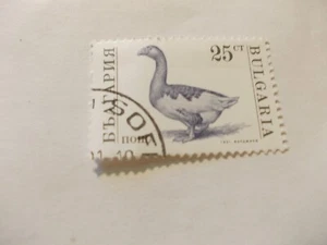 Francobollo: Serie Animali domestici: 25 ct Nova, БbΛΓAPИЯ, Bulgaria - Foto 1 di 1