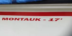 BOSTON WHALER Restaurierungsboot Modell Seitenaufkleber - Montauk 17, Guardian, Revenge - Bild 1 von 4