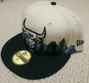 New Chicago Bulls NBA Outdoor Collection New Era Fitted 59Fifty Cap Hat 7-3/4 - Picture 1 of 8