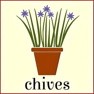 PLANTILLA DE HIERBAS DE CEBOLLINO - Hierbas de jardín plantas de cebollino hágalo usted mismo - La plantilla ingeniosa - Imagen 1 de 6