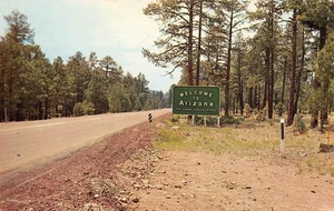 WELCOME TO ARIZONA "Grand Canyon State" Roadside Sign 1966 Vintage Postcard - Picture 1 of 2