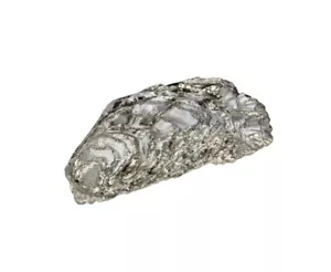 Adorno posterior de cáscara de ostra de peltre fundido - JK01B - Imagen 1 de 1