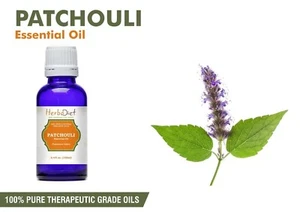 Patchouli Essential Oil 100% Pure Natural Aromatherapy Oils Therapeutic Grade - Picture 1 of 3