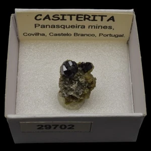 CASITERITA xx (Panasqueira mines, Castelo Branco, Portugal) #29702 / Cassiterite - Picture 1 of 1
