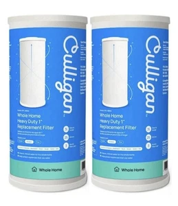 (2 Pack) Culligan Whole Home Sediment Heavy Duty 1” Replacement Filter RFC-BBSA - Picture 1 of 1