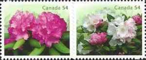 Canada - Scott #2319i-2020i - Rhododendrons - 2009 - Die Cut to Shape - Picture 1 of 1