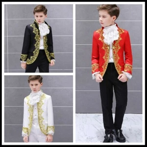 Boys Kids Embroidery Suit Jacket Blazer Pants Retro Costume Fancy Dress 2 Pcs - Picture 1 of 15
