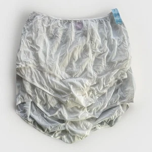 VTG Dixie Belle Sheer Nylon High Waist Panties White Sculpted Feature 3 In Lot - Picture 1 of 11