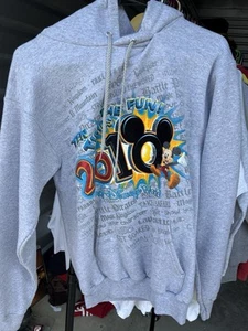 Walt Disney World SweatShirt Mens Medium Hoodie 2010 Sweater Pullover Gray - Picture 1 of 3