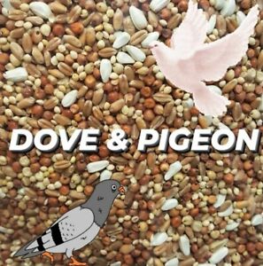 Pigeon Dove Seed Wild Bird Feed Food Resealable CHOOSE SIZE!!!
