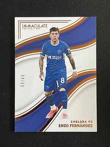 Enzo Fernandez 2023-24 Panini Immaculate Collection  Bronze /60 #151 - Picture 1 of 2