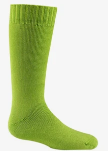Wigwam F2081 Snow Bug Burnt Foliage Green Midweight Ski sock Toddler 7-10 Wool  - Picture 1 of 2