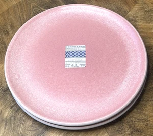Juego de 2 Platos de Cena FAPOR 10" Hecho en Portugal Gres Mate Rosa y Blanco - Imagen 1 de 4
