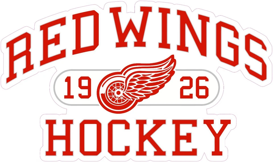 (NOT A PATCH) Detroit Red Wings HTV Heat Press Transfer Vinyl Iron On - Image 1 of 1