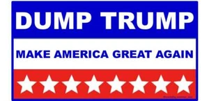 DUMP TRUMP BUMPER STICKER MAGA MAKE AMERICA GREAT AGAIN JOE BIDEN RED/WHITE/BLUE - Picture 1 of 4