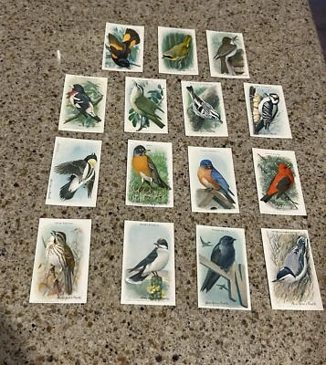 Useful Birds Of America Cards Arm And Hammer And Cow Brand Baking Soda 15 Cards - Image 1 of 2