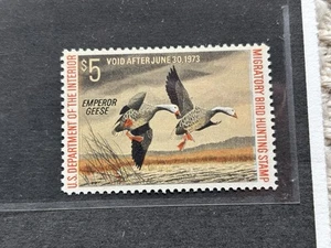 1972 $5.00 Federal Duck Stamp - Bild 1 von 1