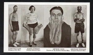 Vintage Ripley's "Believe-it-or-not" Odditorium 1933 - Moreno & Co. Chicago - #2 - Bild 1 von 2