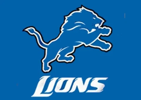 Football Detroit Lions Flag 3 X 5 Cover