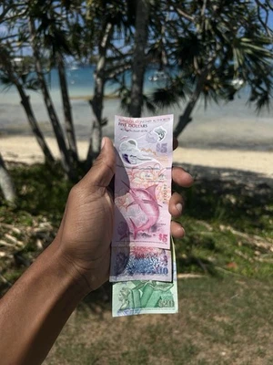 Billete Bermudas 2024 5 Dólares A1 Prefijo Polímero UNC NUEVO Foto 1 de 3