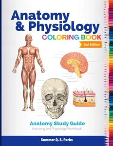 Anatomy and Physiology Coloring Book by Summer Q. S. Parks - Picture 1 of 1