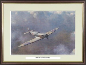 Aircraft framed print "Flight of Freedom" by Roy Cross/NGNSF2 - Picture 1 of 1