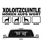 Xoloitzcuintle hört aufs Wort Hunde Auto Aufkleber Autoaufkleber Hund Folie