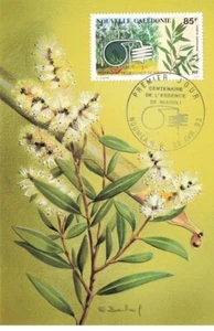 Card Maximum #23582 New Caledonia Noumea 1993 Fuel Petrol Niaouli - Picture 1 of 2